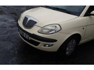 Надувная подушка для крыши    51848464   Lancia Ypsilon