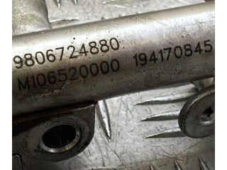 Топливная рампа 9806724880, 194170845   Citroen C3  