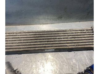 Интеркулер  A2105001200, 25519   Mercedes-Benz E W210 