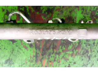 Топливная рампа R03L125A Skoda Fabia Mk2 (5J)