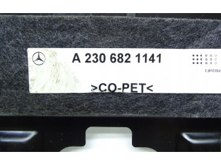 Блок управления A2306821141, A2306821141 Mercedes-Benz SL R230