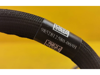 Блок управления 3L49A8UGEB38, 9852812580   Peugeot 5008 II