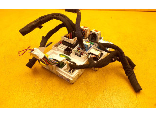 Блок управления 9841490480, 9841490480   Citroen DS4