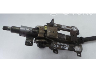 Volant Citroen Berlingo 2020 ELEGIVEIS  