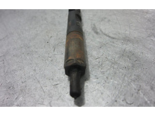 Форсунка 8200815416 Renault Clio III