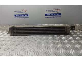 Интеркулер  52401015, 52401015   Opel Meriva A 