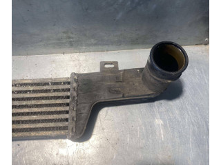 Интеркулер  A2105001200, 25519   Mercedes-Benz E W210 