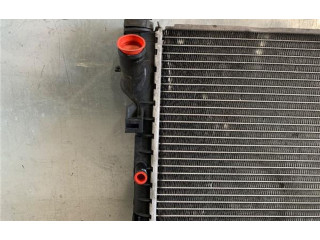 Интеркулер 4999282, 008T16800588 Ford Transit - Tourneo Connect