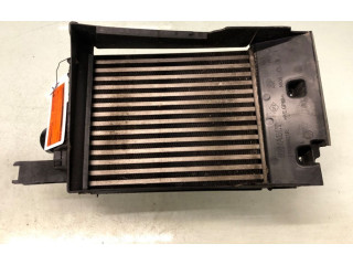 Интеркулер     Dacia Duster 