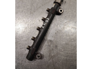 Топливная рампа 96868901, 1202100852   Chevrolet Orlando   для двигателя Z20d1