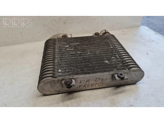 Интеркулер  281904261X   KIA Pregio 2.5