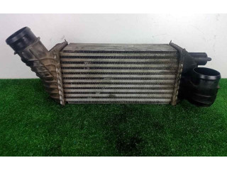 Интеркулер  300X160X80   Peugeot 5008 