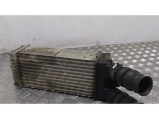 Интеркулер 874964GJ Citroen Berlingo