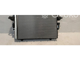 Комплект радиатора 1076732-00-H Tesla Model 3