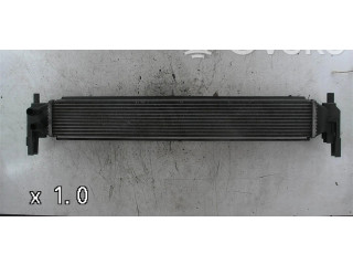 Интеркулер 6R0145805H, 6R0145805H Skoda Fabia Mk2 (5J)