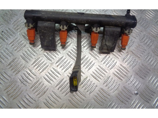 Vstřikovací lišta Citroen C3 Pluriel