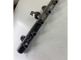 Топливная рампа 0415666673, 55PP0202 Citroen C4 I