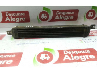 Интеркулер  1300410, 1300410   Opel Meriva A 