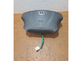 Přístrojová deska KIA Carnival 2009 806102424540