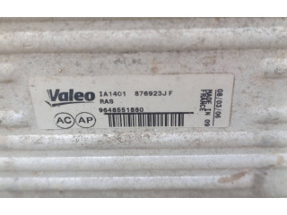 Интеркулер  9648551880   Citroen C4 I 