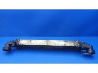 Интеркулер  A2115001102, G1592000   Mercedes-Benz E W211 3.0