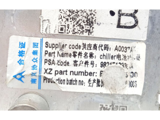 Блок управления 9821712380, EV29035425   Peugeot Partner III