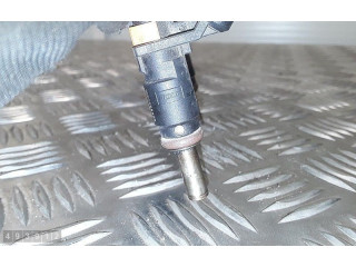 Жиклер (жиклеры) (форсунка (форсунки) 166008992r, h8201488661 Dacia Duster