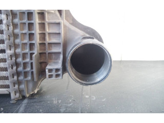 Интеркулер A2515000000004, P2-A11-6 Mercedes-Benz R W251