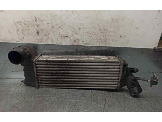 Интеркулер 1489396080, 870229HF Citroen C8