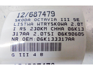 Топливная рампа 06K133317AA, 06K133317AA Skoda Fabia Mk3 (NJ)