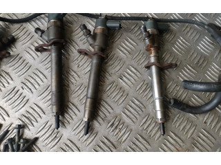 Комплект форсунок 0445110251, 30750283    Volvo S60   