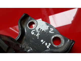 Задняя нижняя петля