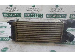 Интеркулер     Peugeot Partner 