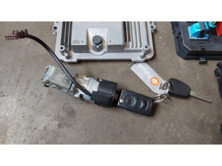 Řídící jednotka 9666319580, 9667123380 Citroen C4 Grand Picasso 2010