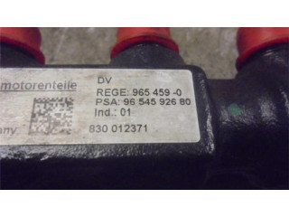 Vstřikovací lišta 9654592680 Citroen Berlingo 9HW