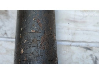 Задний aмортизатор