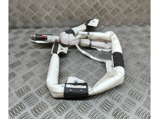 Надувная подушка для крыши 103675900E, 630692600K Tesla Model X L2S