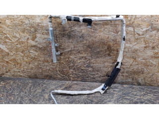 Боковая подушка безопасности MR96205254, 6027532 Mitsubishi Grandis