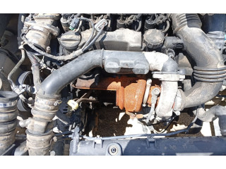 Čerpadlo oleje 1001F2 Citroen Xsara 9HX (DV6ATED4)