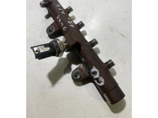 Vstřikovací lišta H8200704217, A2C27000234 Nissan Juke I F15