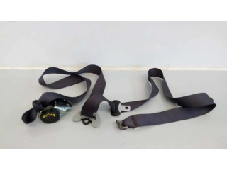 Задний ремень безопасности