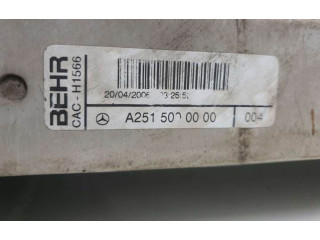 Интеркулер A2515000000 Mercedes-Benz R W251
