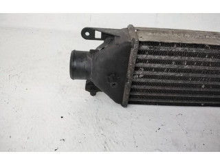 Интеркулер  51783791, 192A8000   Fiat Bravo 
