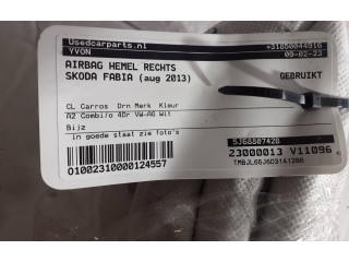 Боковая подушка безопасности 5J6880742B, 23000013   Skoda Fabia Mk2 (5J)