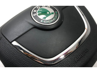 Подушка безопасности водителя 1Z0880201AH   Skoda Octavia Mk2 (1Z)