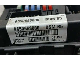 Блок предохранителей 965663880   Peugeot 406    