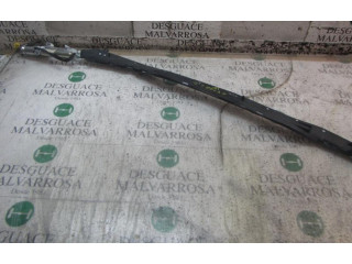 Подушка безопасности двери 3D1880742C, 3D1880742C Volkswagen Phaeton