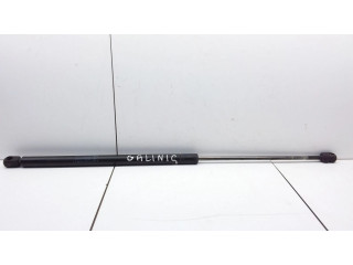 Амортизатор задней крышки