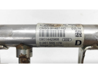 Топливная рампа CM5G9H487HD, 0261555178 Ford Ecosport 1.0