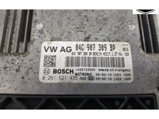 Блок управления двигателя 04C907309BP, 04C907309BP Skoda Fabia Mk3 (NJ)
